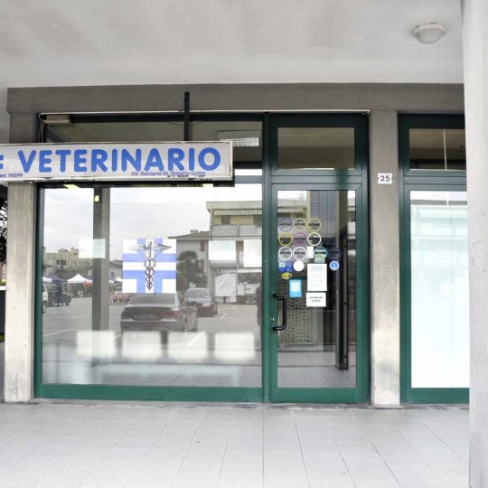 http://www.veterinariocampagnalupia.it/wp-content/uploads/2016/12/Facciata-Veterinario-Campagna-Lupia2-540x540.jpg